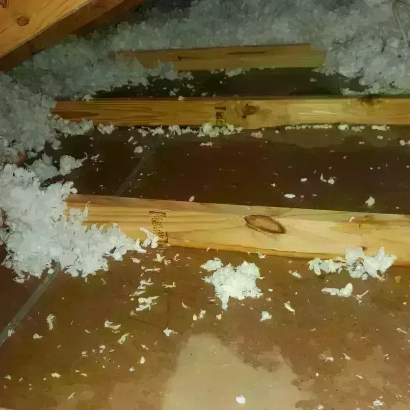 Attic Water Damage in King of Prussia, PA